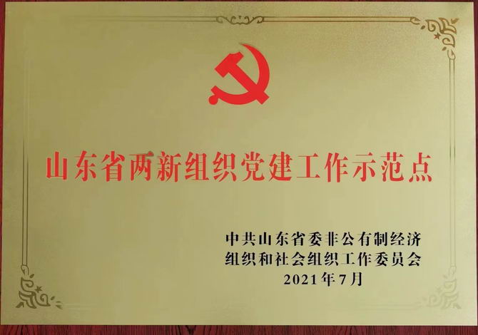 山东省高新组织党建工作示范点